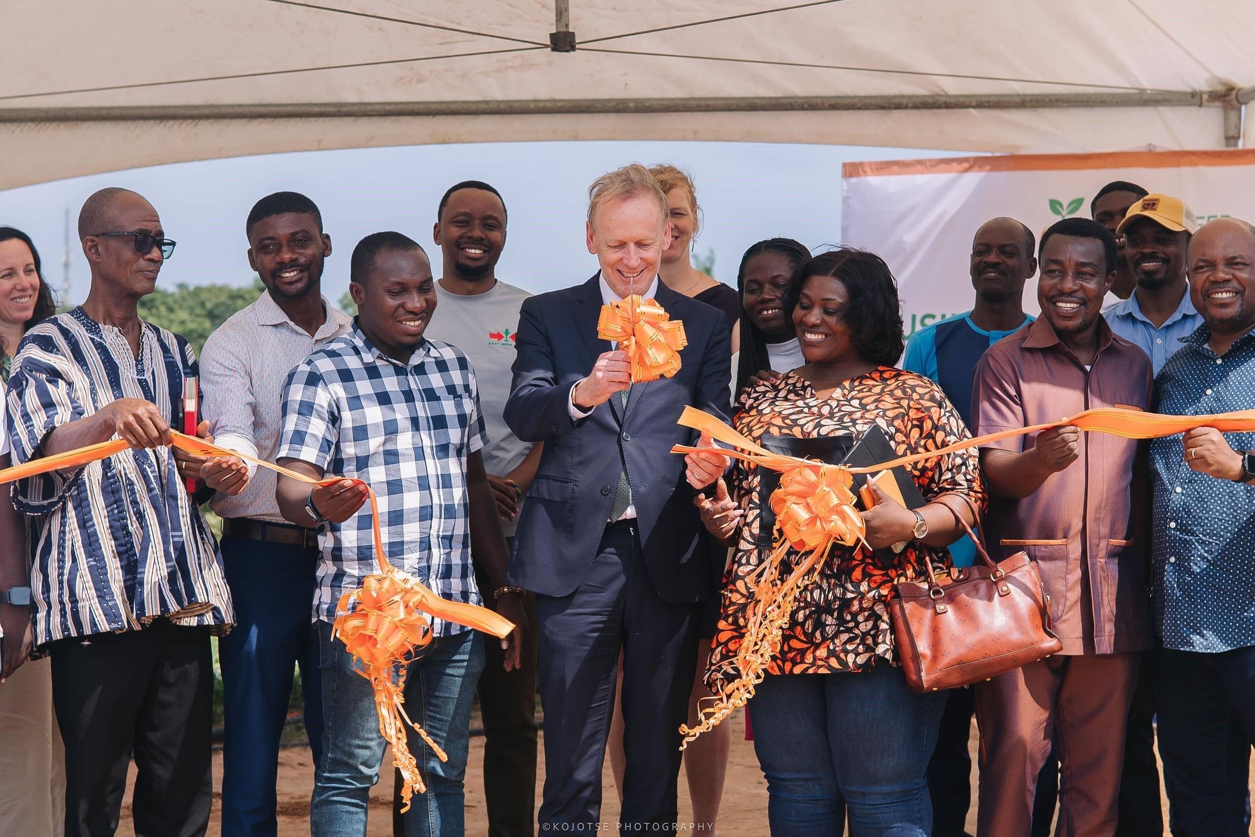 Accra, Amsterdam partner to streamline vegetable seed sector