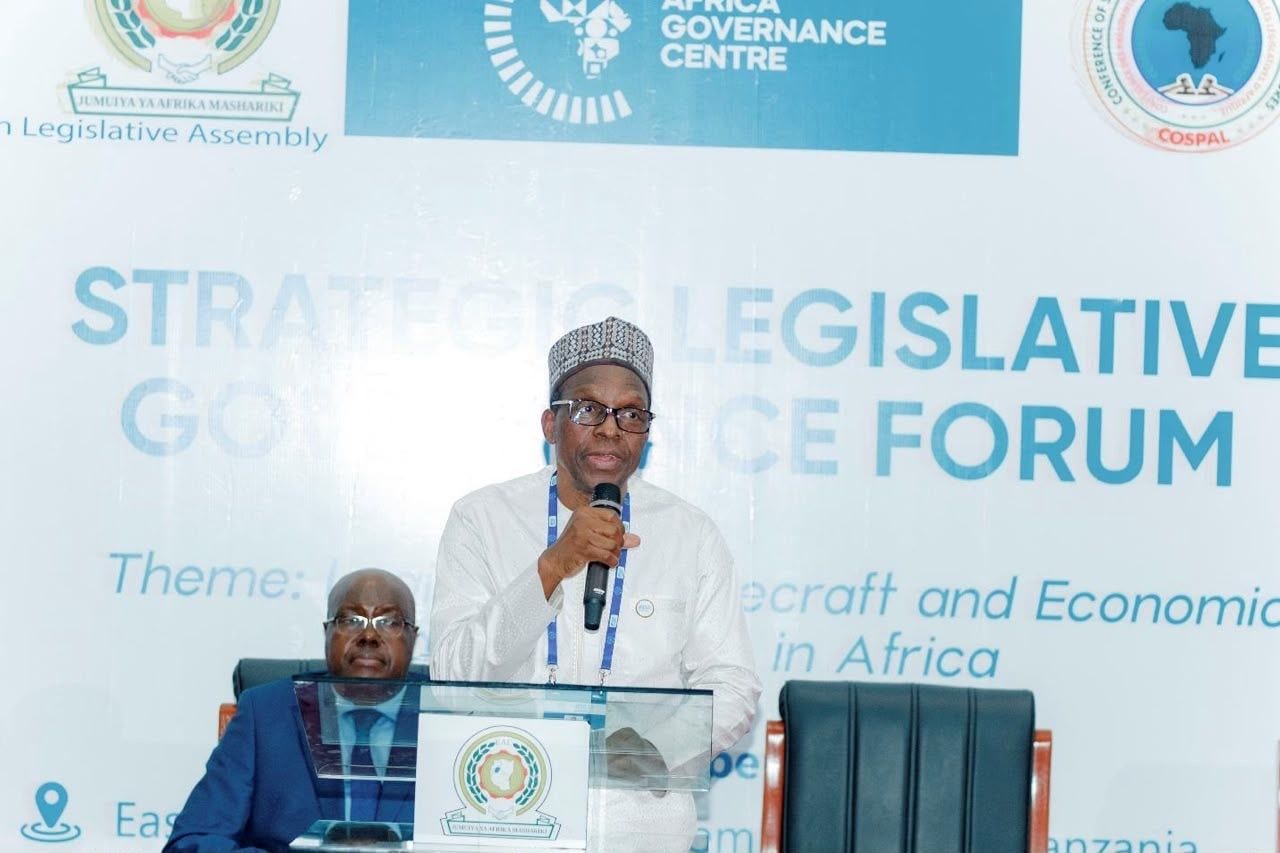 Election pressure is undermining long-term development -Speaker  warns