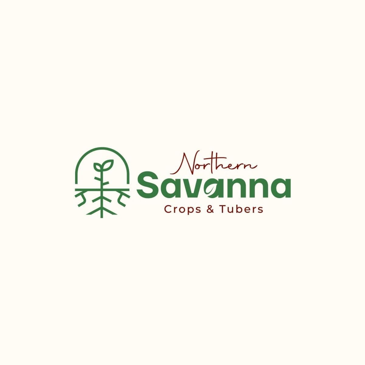 Northern-Savanna, Complete Farmer partner to cultivate 500 acres of sesame, mark step towards export-oriented agriculture