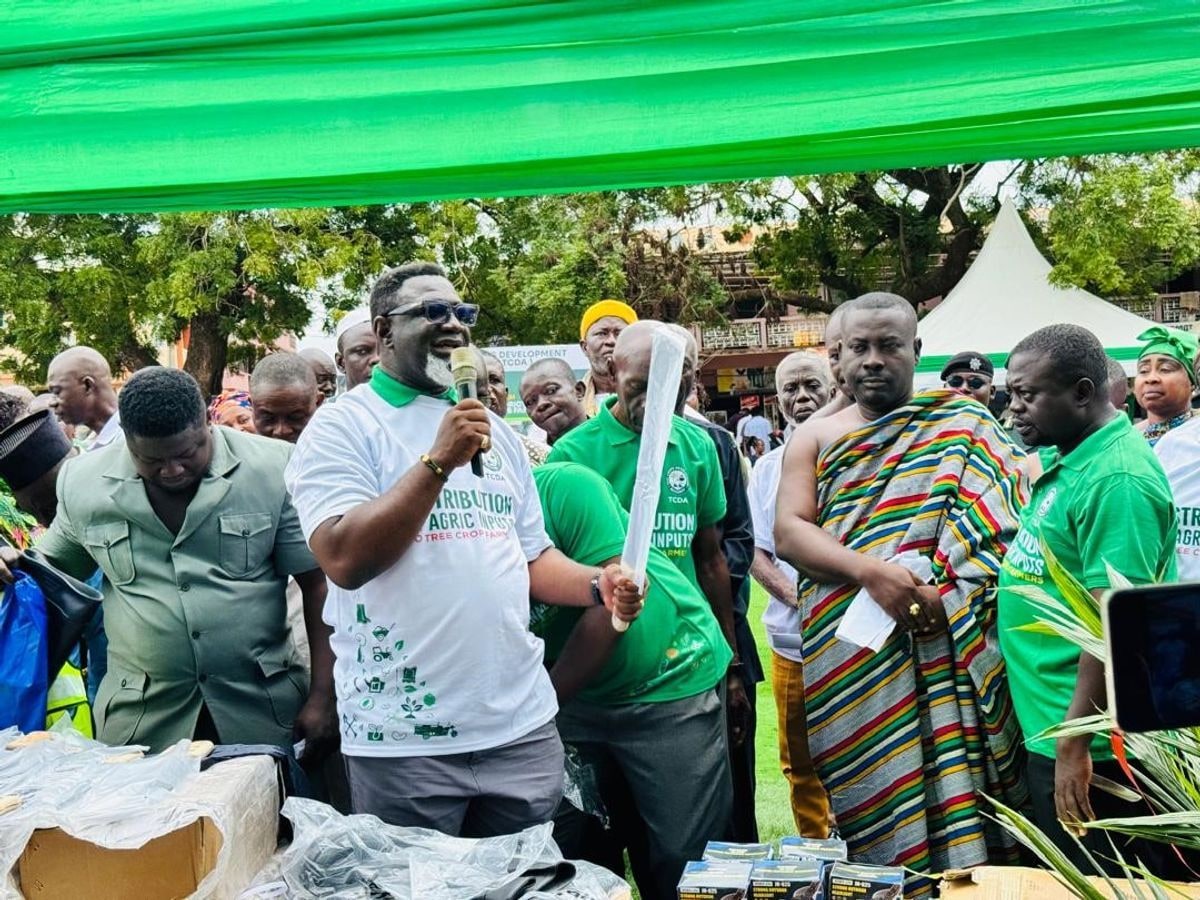 TCDA targets competitive tree-crop value chains beyond production
