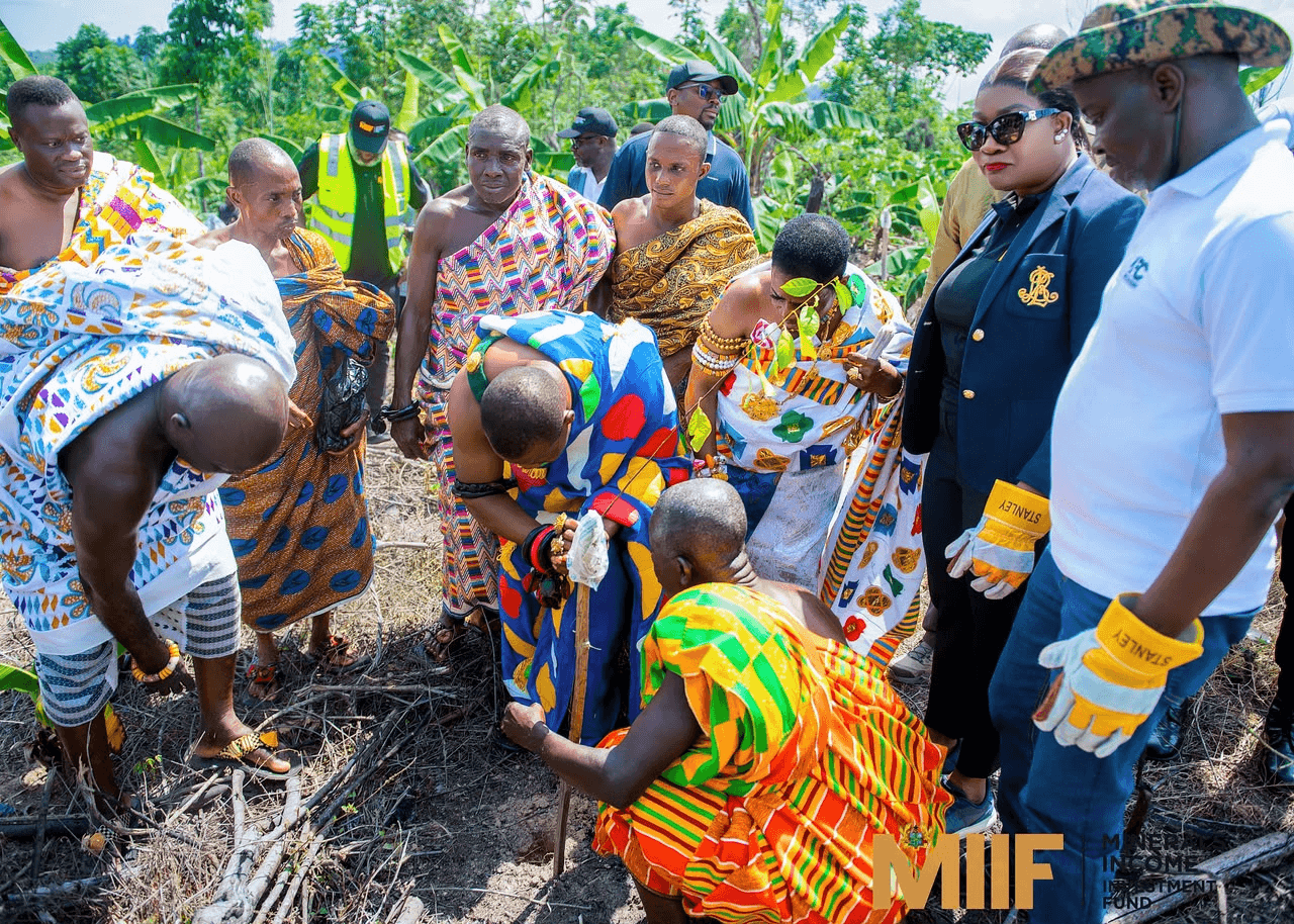 MIIF leads five-year drive to restore 50 hectares of degraded forest