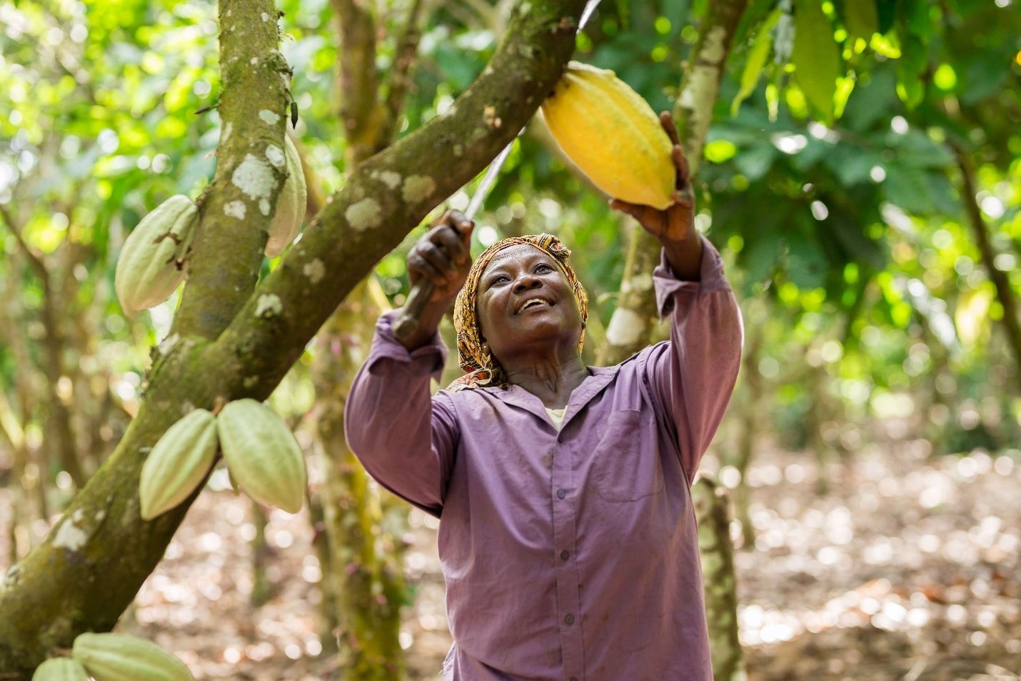 Fairtrade Africa convenes industry for Change Day 2026