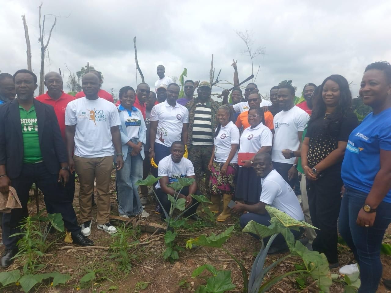 Insurance industry plants 1,300 trees in the Western Region