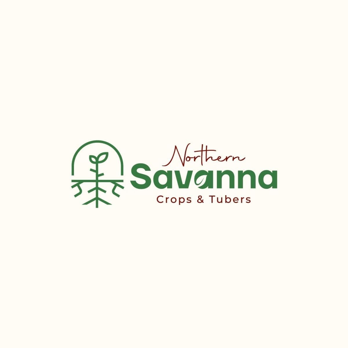 Northern-Savanna, Complete Farmer partner to cultivate 500 acres of sesame, mark step towards export-oriented agriculture