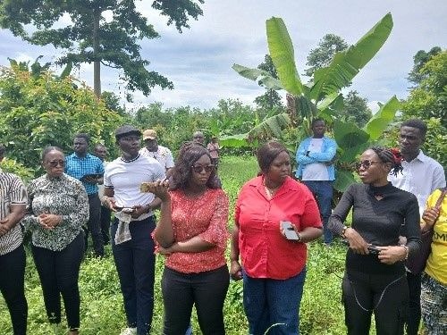My Reflections: A trip to Bunso, the journey into the ecological future