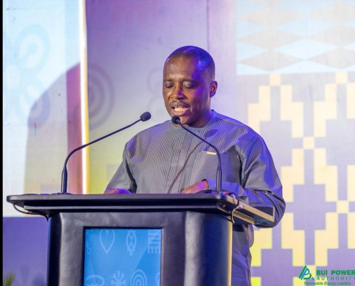 Smarter grids key to Africa’s energy transition — Bui Power CEO