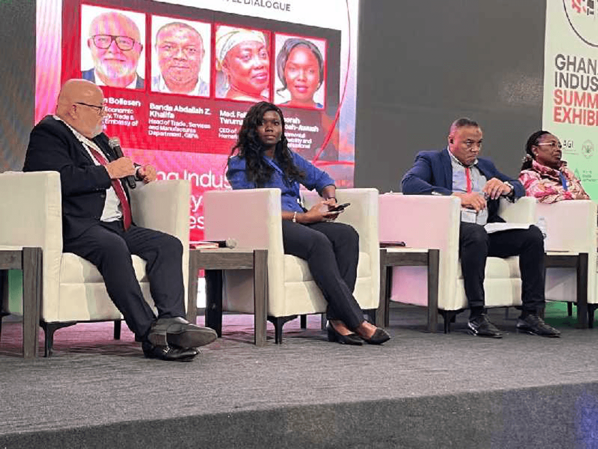 Ghana, Denmark urged to deepen green industrial partnership