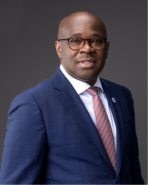 Mobilise more domestic capital to finance economic growth – Stanbic CE