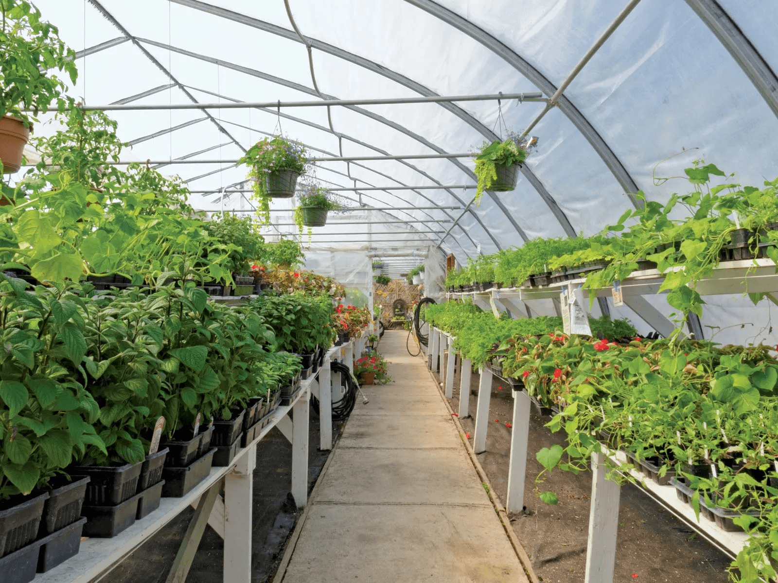 Horticulture to consolidate US$10bn NTEs target
