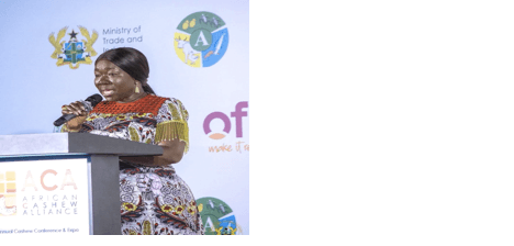 Gov’t targets greater value from tree crops with US$200m investment