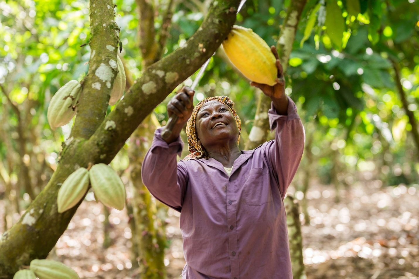 Fairtrade Africa convenes industry for Change Day 2026
