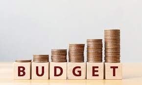 2025 budget lauded for tax reliefs, others