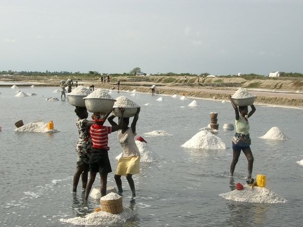 Minerals Commission Board visits Songor Salt Project