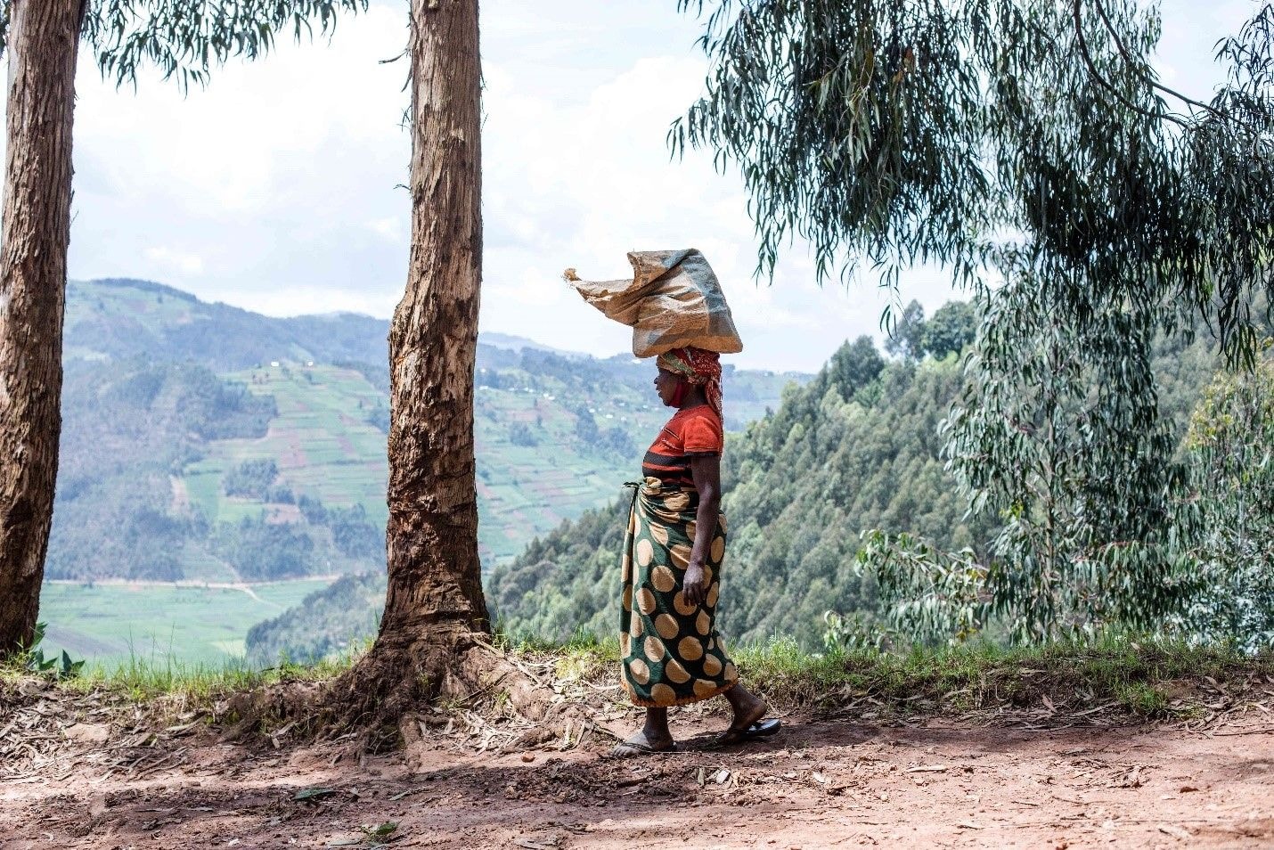 Climate change emergencies threaten peace and security
