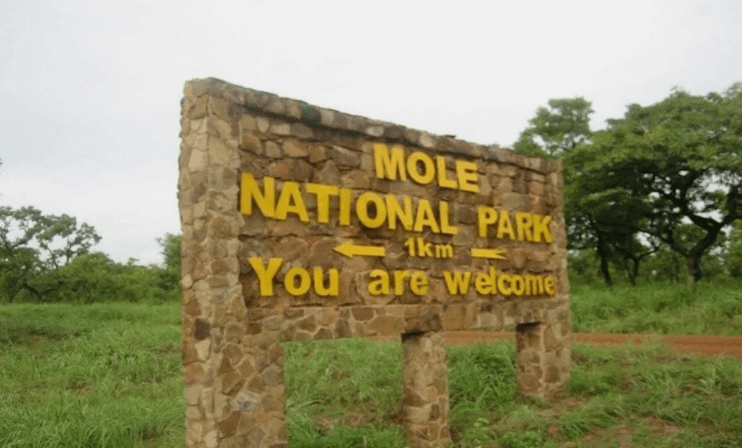 Mole National Park receives new Toyota Land Cruiser