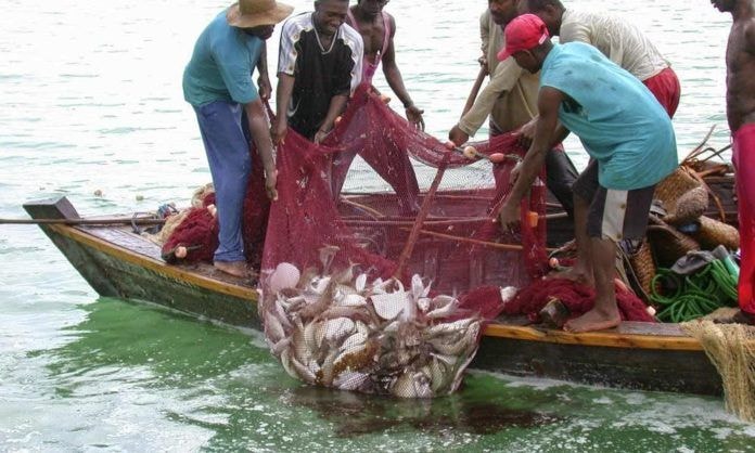 Ghana hangs hopes on EU to curb illegal fishing