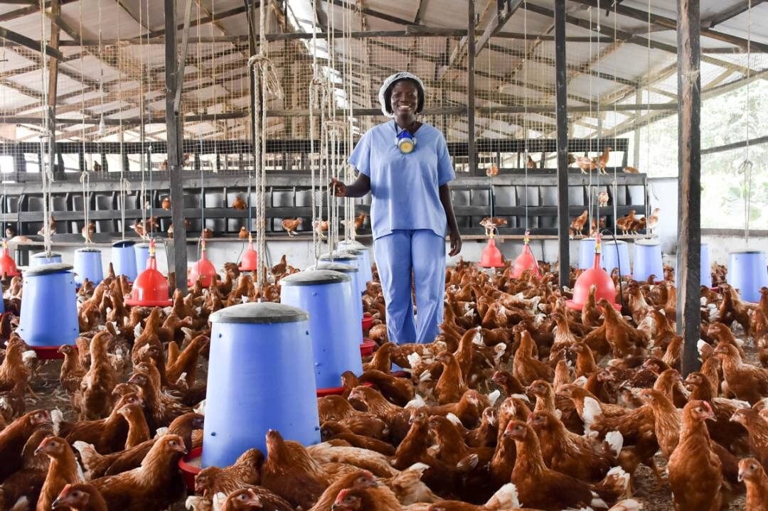 Agribusiness entrepreneurs must take advantage of AfCFTA – ADB MD