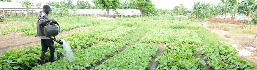 Creative climate finance in Africa