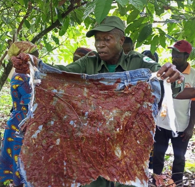 Conservation Alliance launches Human Elephant co-existence Project