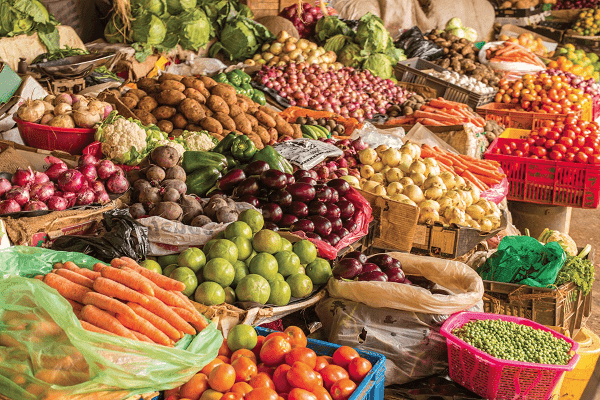 Editorial: Mitigating food-borne diseases