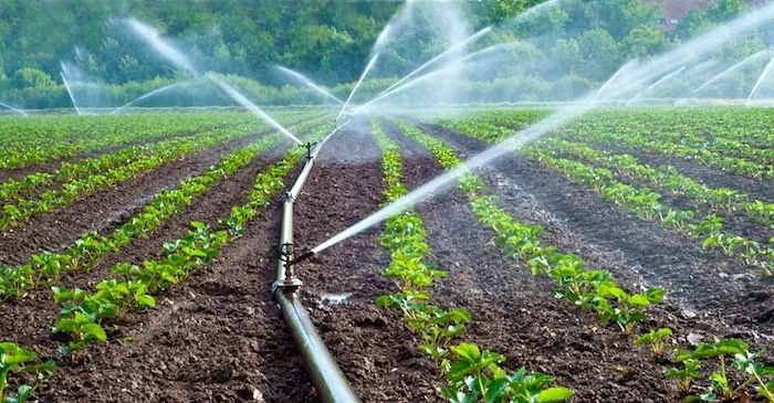 US$285m irrigation potential lies dormant – report