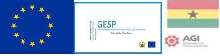 GESP Project ends with 400,000 euros invested in agroprocessiong sector in Ghana