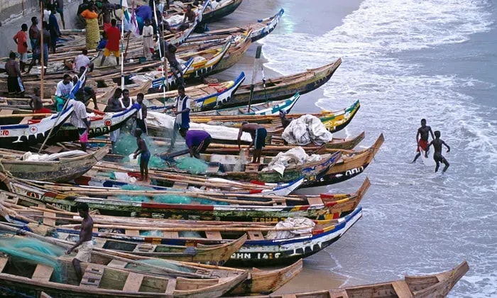 Illegal fishing, overfishing and corruption threaten livelihood  -report