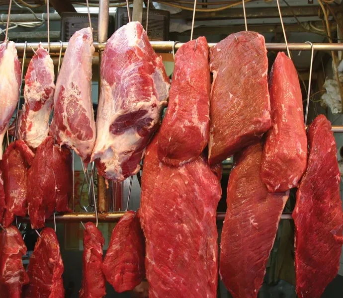 Ecological footprints of meat production