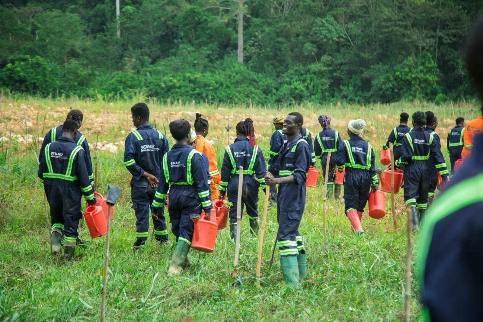 Gov’t reclaims over 1000 hectares of galamsey lands in Western North