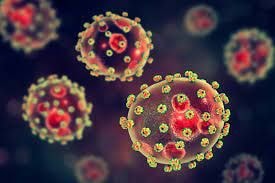 Lassa fever: GHS confirms two cases