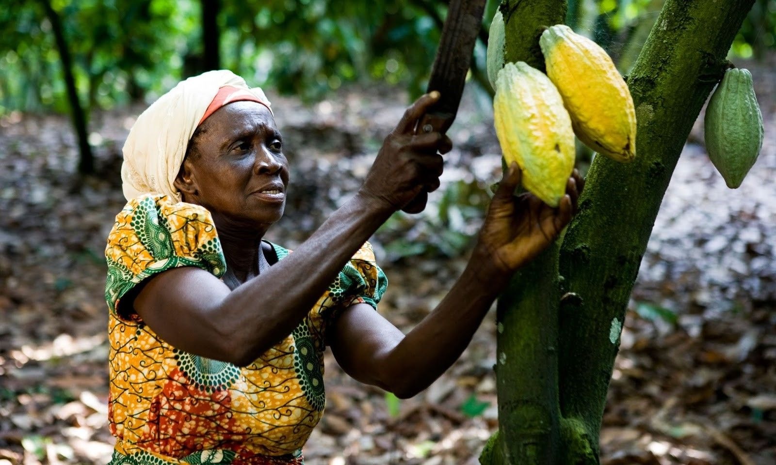 Chocolatemakers continue to ignore emerging consumer concerns