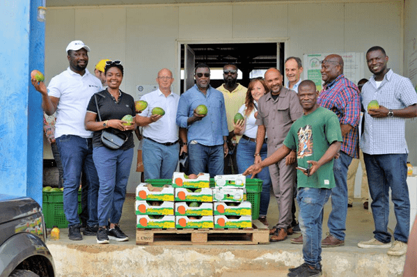 EU-funded WACOMP transforms mango industry