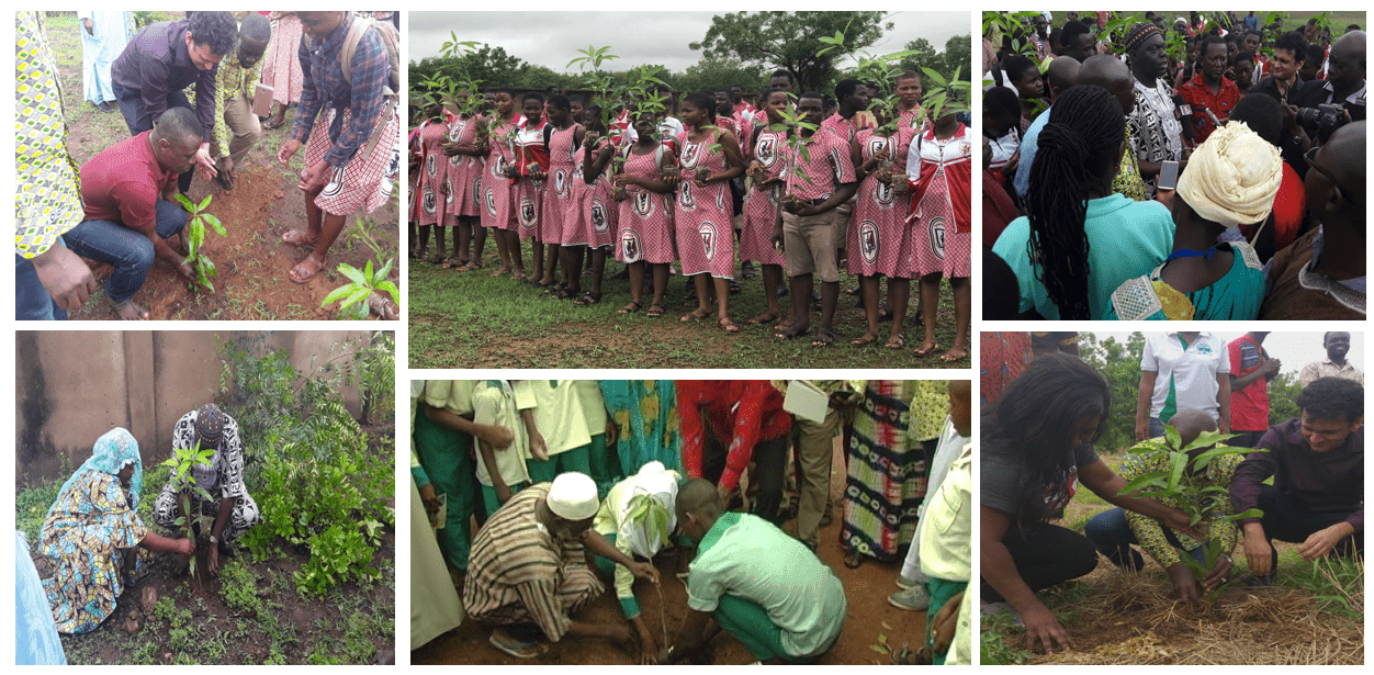 Olam Agri tree-planting initiative reaches 100,000 trees