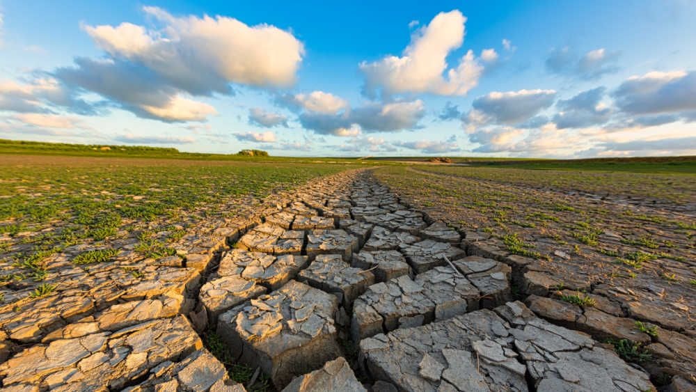 Piecemeal laws hampering fight against climate change – report
