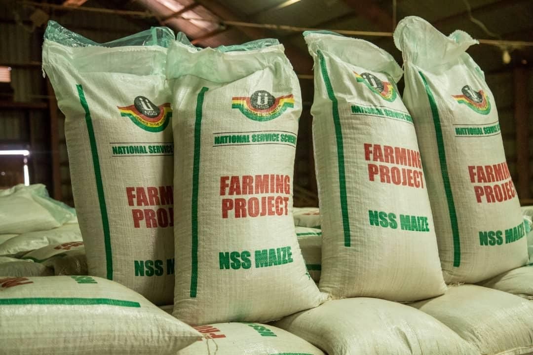 Gov’t secures 20,000-acre farmland for NSS agric project