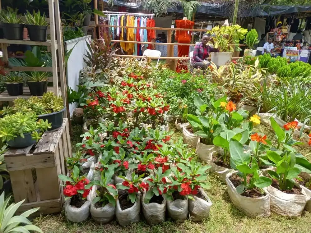 11th  Ghana Garden and Flower  Show opens tommorow