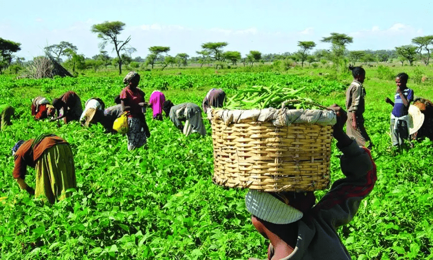 #IWD2024: Women do not need to be empowered?