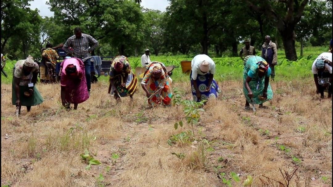 Echoes of change: uniting against land degradation