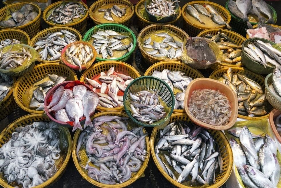 Nearly 15% of seafood produced globally in 2021 wasted – WEF report