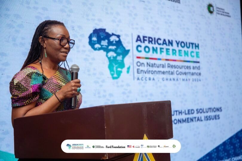 Africa's Green Minerals’ future hinges on innovation, youth involvement- NGRI director