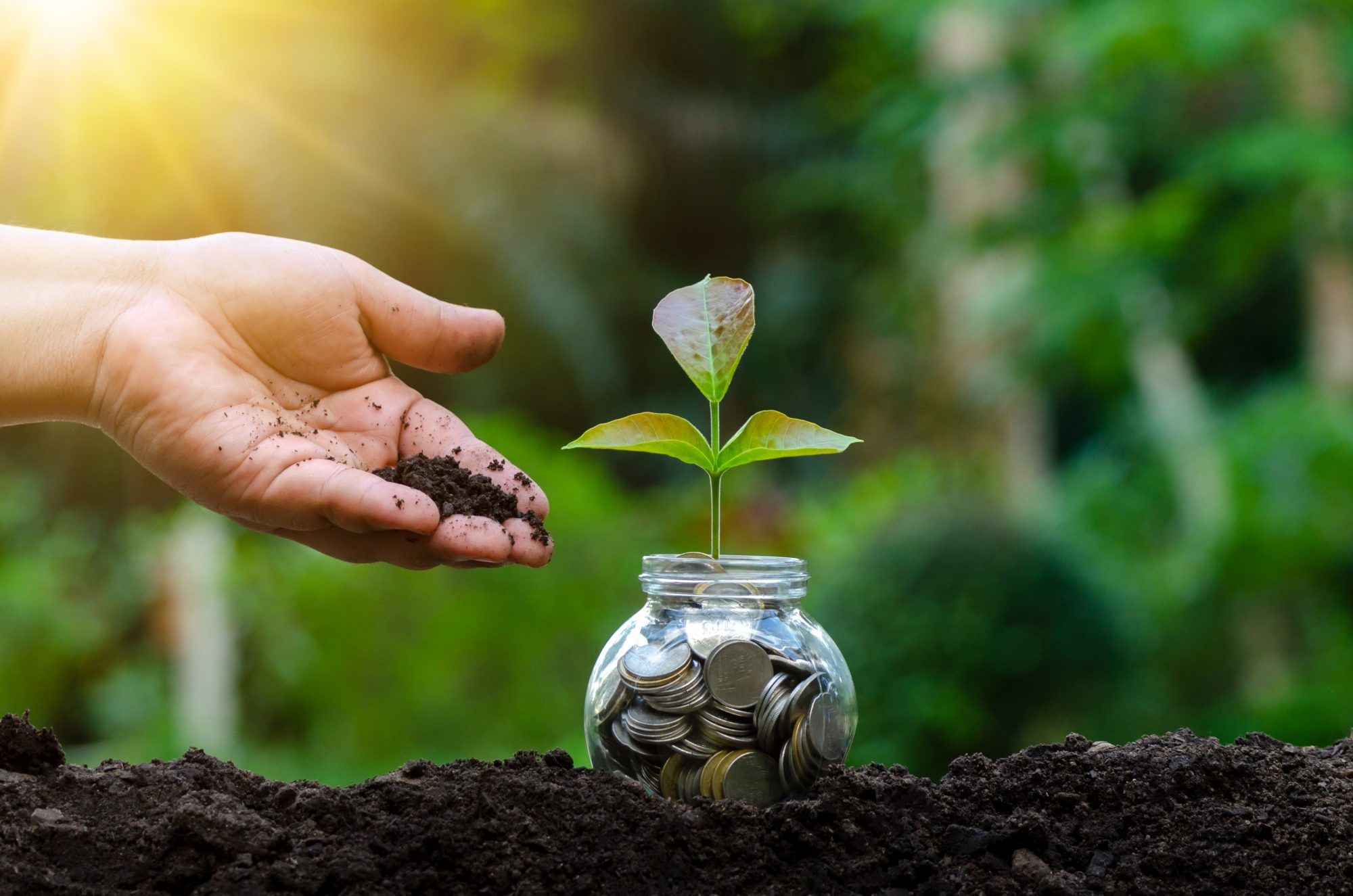 Digital, green transition won’t happen without cheap financing