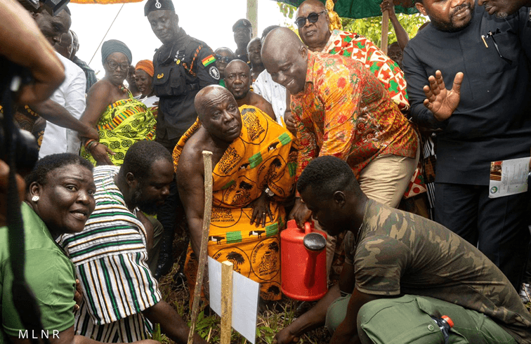 2024 Green Ghana Day: Gov’t targets planting over 10m trees