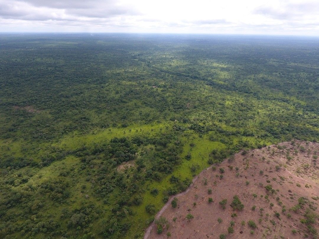 AstraZeneca highlights commitment to tackling climate change and biodiversity loss
