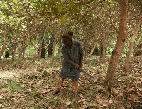 Lack of smooth access to finance limits women’s growth in agriculture