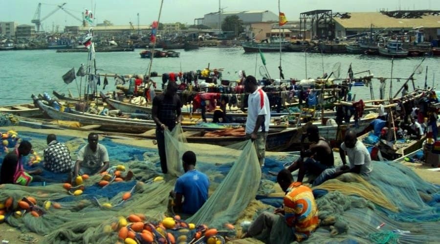 Editorial: Study suggests pre-mix fuel subsidy removal will improve sector