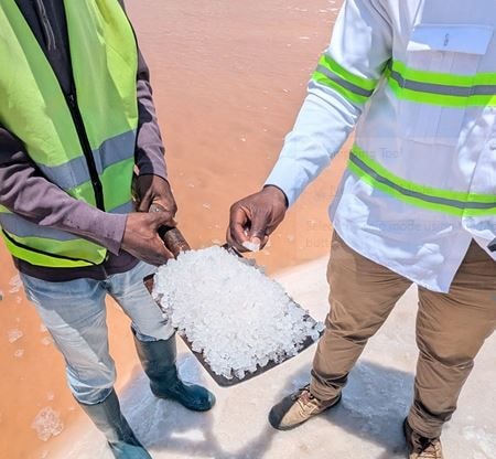 Electrochem's outgrower scheme, community pans gaining traction – CEO