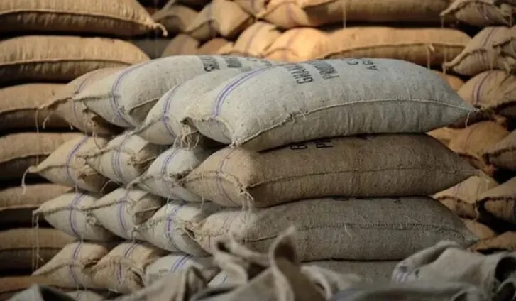 Editorial: Heightened risk of cocoa smuggling after Ivory Coast increases farm-gate price