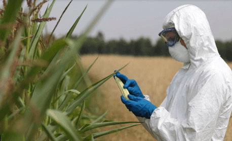 GMO –Matters arising