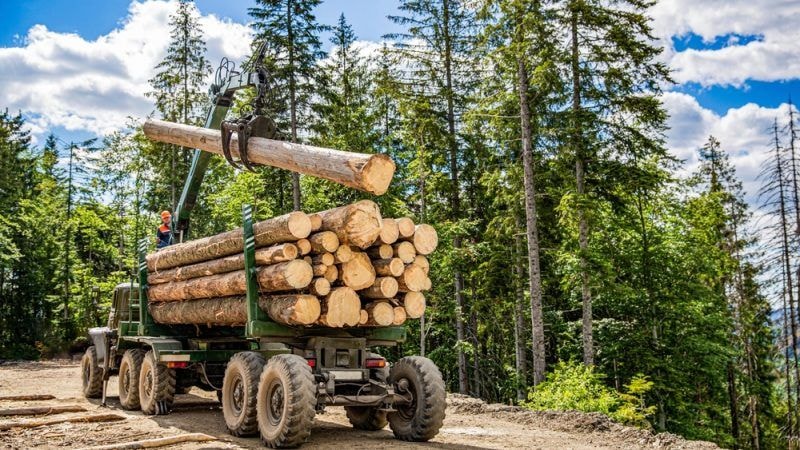 EU postpones passage of key deforestation law