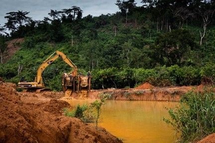 A Rocha rejects EPA director’s position on mining in forest reserves